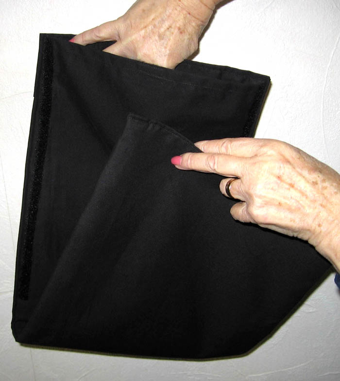 (image for) The Bag - THE BLACK TEAR APART CHANGE BAG